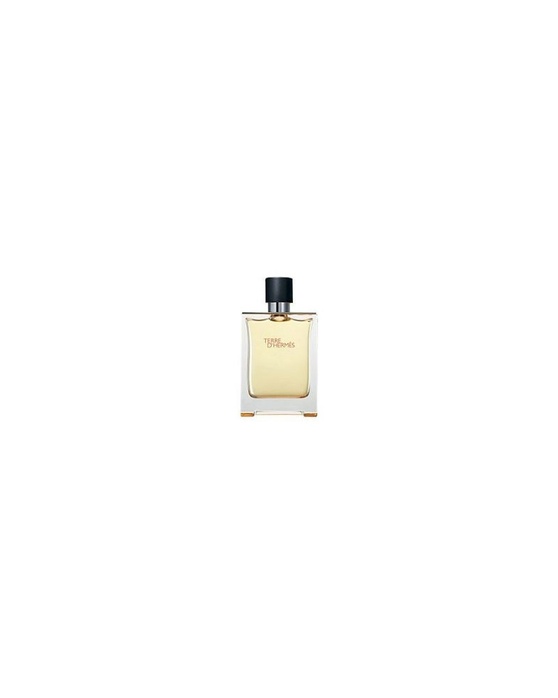 Hermes Terre D'Hermes toaletní voda pánska 100 ml