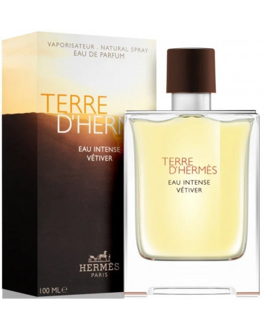 Hermès Terre D'Hermès Eau Intense Vetiver parfémovaná voda pánská 100 ml